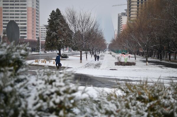 雪化粧したピョンヤンのポトンガン地区 - Sputnik 日本