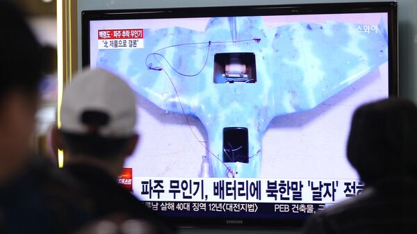 北朝鮮のドローン（無人機） - Sputnik 日本