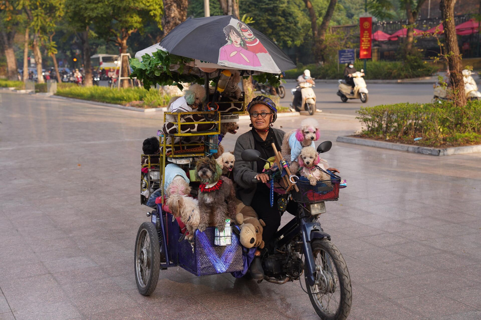 Bà Nguyễn Thị Kim Quý và đàn thú cưng gồm 13 chú cún trên chiếc xe 3 bánh tự chế  - Sputnik 日本, 1920, 27.12.2022