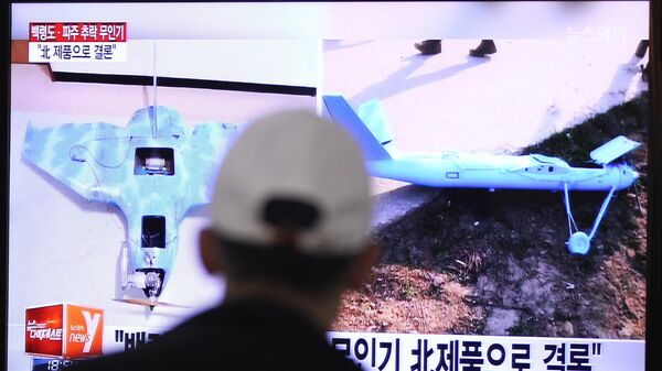 北朝鮮のドローン（無人機） - Sputnik 日本