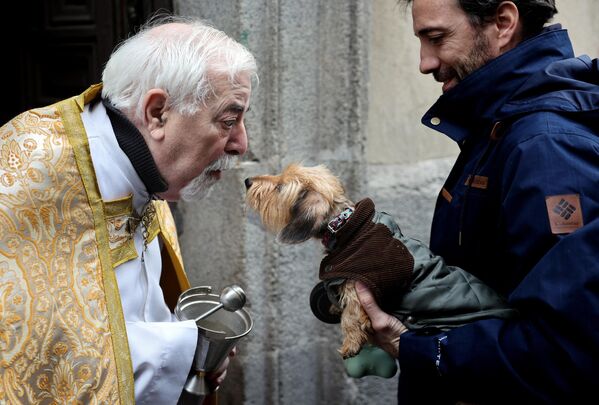 動物の守護聖人大アントニオスの日に犬を祝福する聖職者、マドリッド - Sputnik 日本