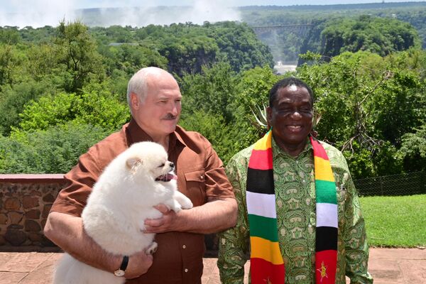 愛犬とヴィクトリアの滝を訪れたベラルーシのアレクサンドル・ルカシェンコ大統領とジンバブエのエマーソン・ムナンガグワ大統領（ジンバブエ、1日） - Sputnik 日本