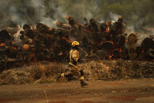 火災が発生した森林で消火活動にあたる消防隊員（チリの・サンタフアナ、6日） - Sputnik 日本