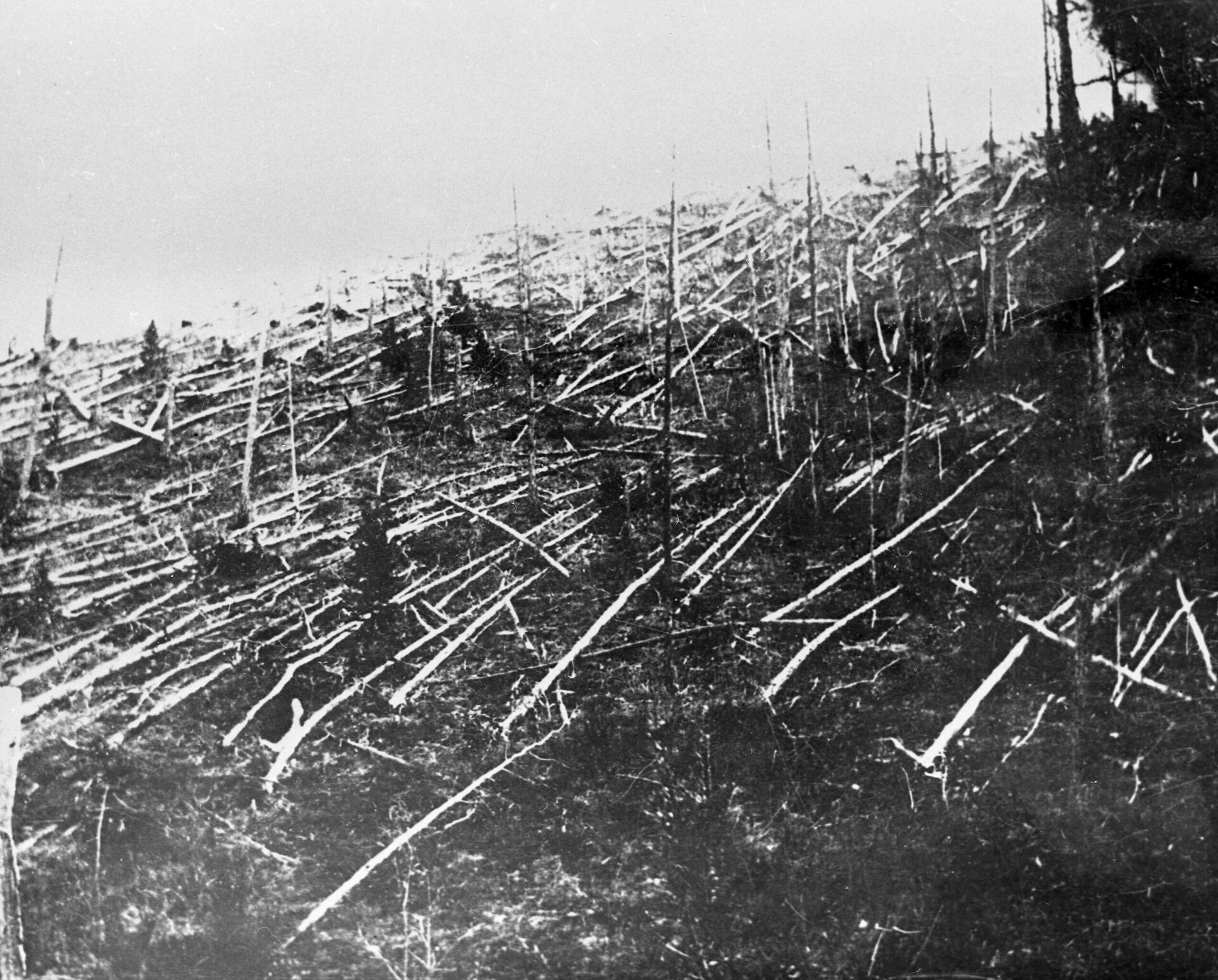 Так выглядела тайга в 1927 году, когда ученые добрались до места падения Тунгусского метеорита - Sputnik 日本, 1920, 16.02.2023