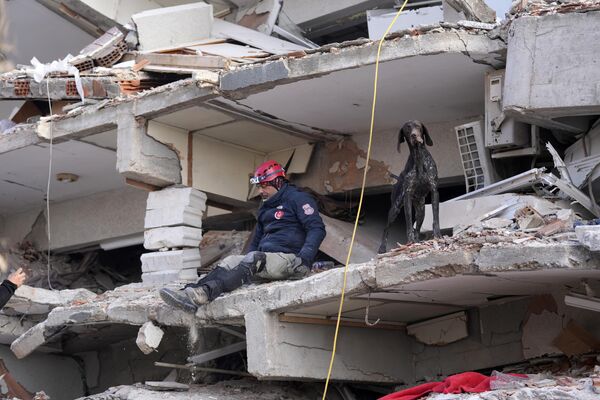 倒壊した建物で救助隊員と共に活動する探知犬（南部アンタキヤ、10日） - Sputnik 日本