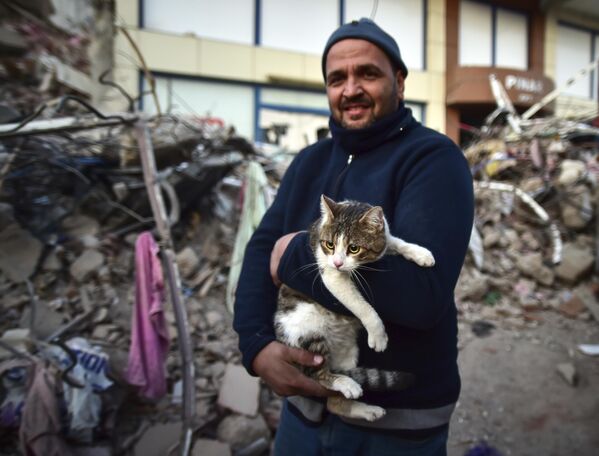 倒壊した建物から救出された猫（南部カフラマンマラシュ、11日） - Sputnik 日本