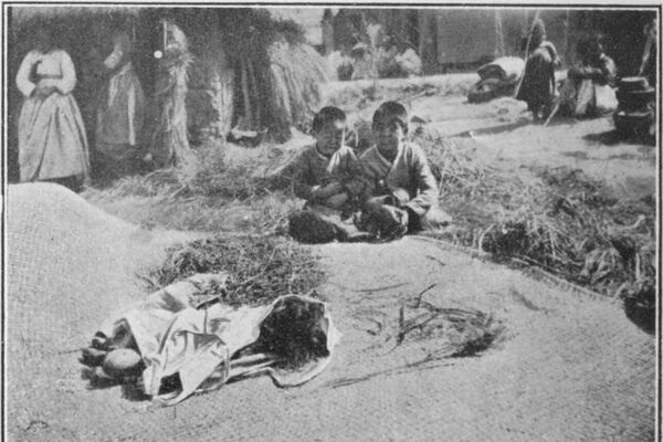 朝鮮の孤児（1919年） - Sputnik 日本