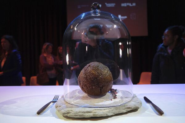 NEMO科学技術博物館に展示された、マンモスのDNAを使った肉で作られたミートボール（オランダ・アムステルダム、28日） - Sputnik 日本