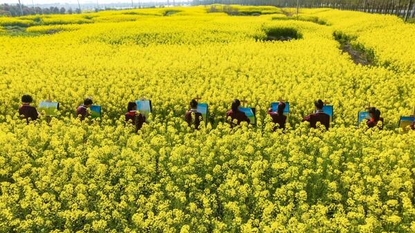 菜の花畑でスケッチをする学生たち（中国・江蘇省海安市、28日） - Sputnik 日本