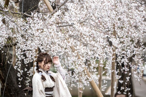 公園の桜の木の下でポーズをとる女性（東京都・墨田区、22日） - Sputnik 日本