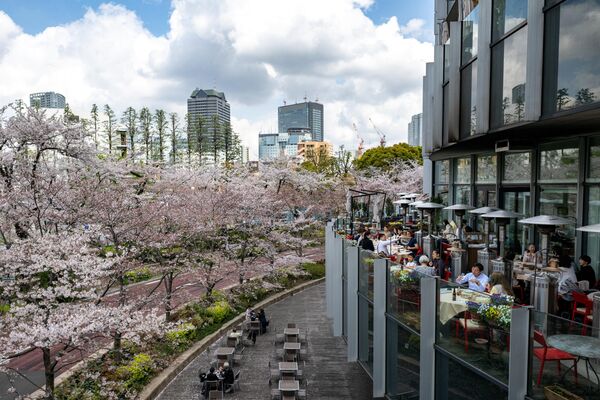 六本木の桜が見えるレストランで食事をする人々（東京都・港区、30日） - Sputnik 日本