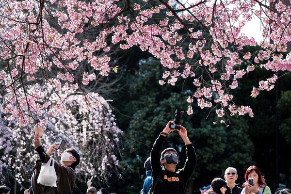 上野公園で桜の写真を撮影する人々（東京都・台東区、14日） - Sputnik 日本