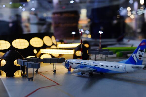 エリゾヴォ空港の模型 - Sputnik 日本