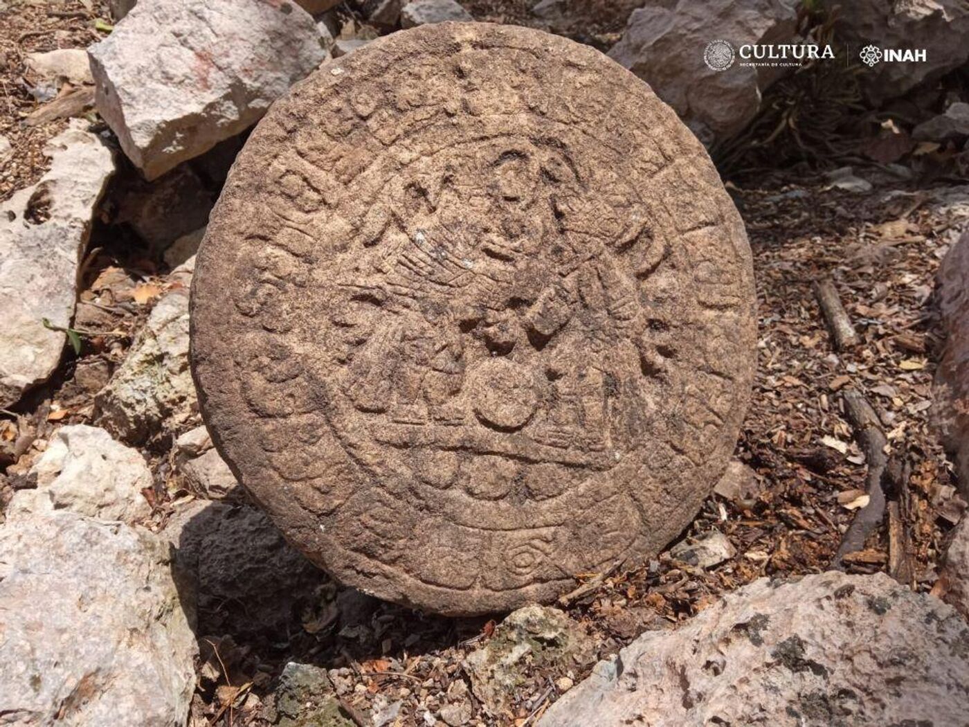 ♦古代文明 天然石 副葬品 祭器 鷲鷹鳥類メキシコ〜南米ペルーインカ帝国エジプト 特別展「古代メキシコ ―マヤ、アステカ、テオティワカン