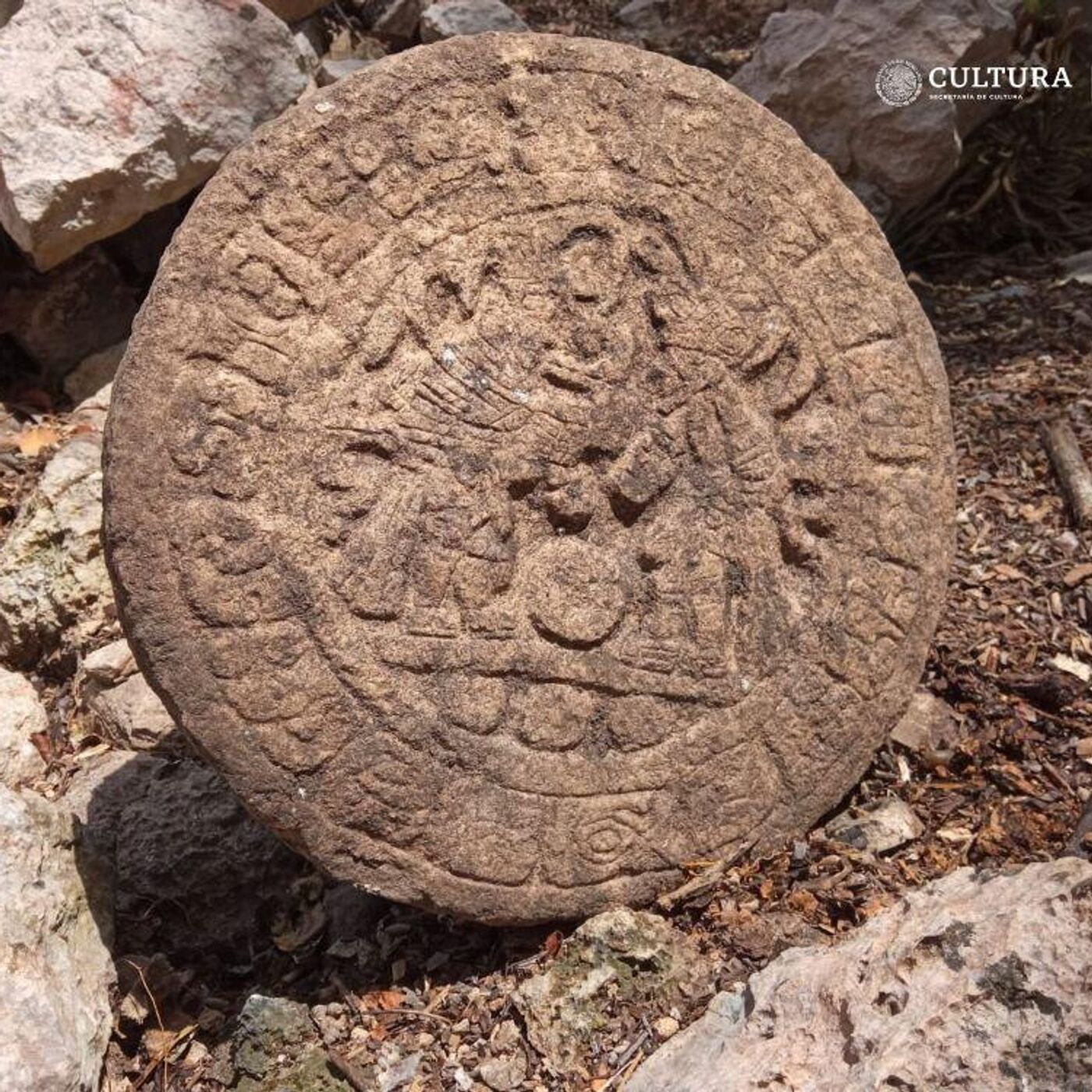 古代マヤ文明の珍しい遺物が見つかる - 2023年4月15日, Sputnik 日本