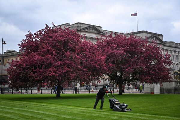 バッキンガム宮殿前の庭園の草を芝刈り機で刈る作業員（ロンドン、18日） - Sputnik 日本