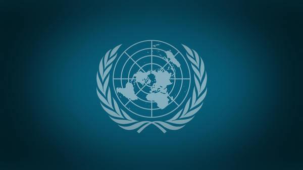 国連安保理 - Sputnik 日本