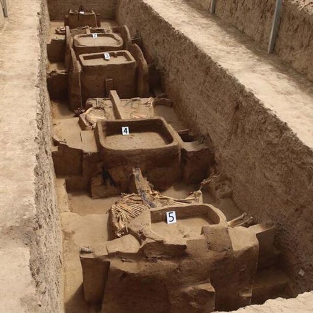 中国で約2500年前に埋葬された馬車発見 馬車には馬がつながれていた