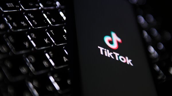 TikTok、AIチャットボットTakoをテスト - Sputnik 日本