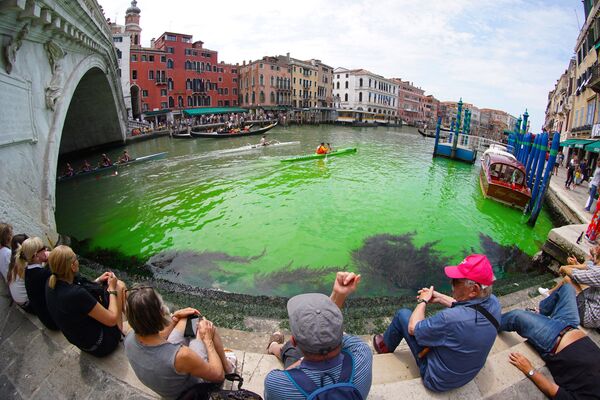 緑色に染まった運河（イタリア・ベネチア、28日） - Sputnik 日本