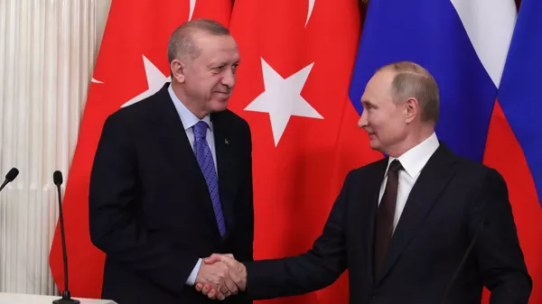 トルコのエルドアン大統領とロシアのプーチン大統領 - Sputnik 日本