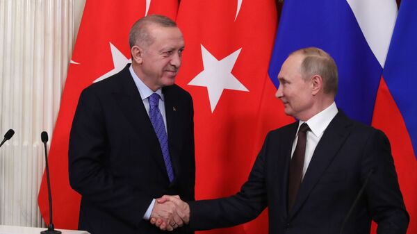 トルコのエルドアン大統領とロシアのプーチン大統領 - Sputnik 日本
