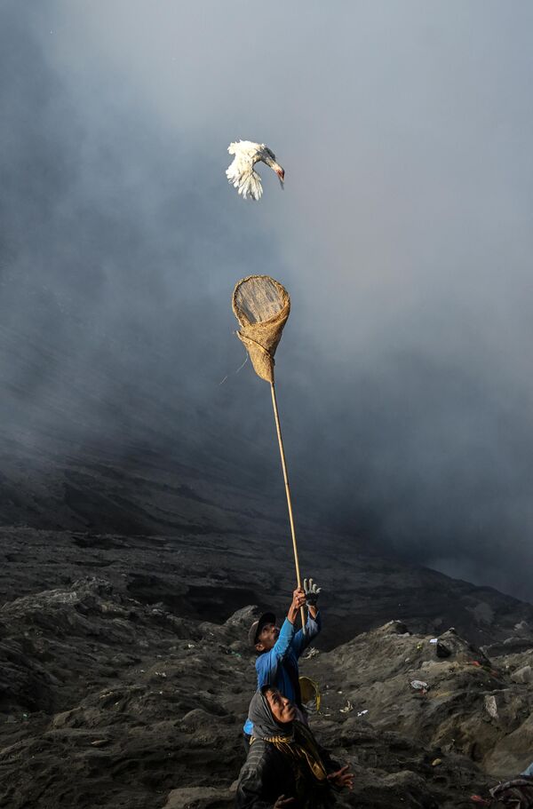 ブロモ火山で行われたヒンドゥー教の伝統行事「ヤドニャ・カサダ」で、火口に投げこまれた供物を網で受け止める村の住民（インドネシア・東ジャワ州プロボリンゴ、5日） - Sputnik 日本