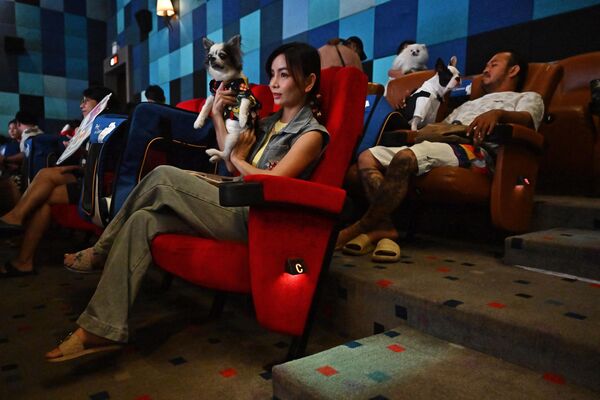 「i-Tail Pet Cinema」オープン初日、ペットと一緒に映画を見る人々（タイ・サムットプラカーン、10日） - Sputnik 日本