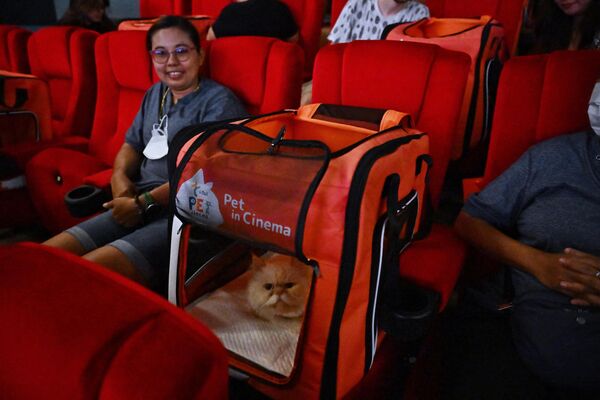 「i-Tail Pet Cinema」オープン初日、館内の座席に座る飼い主と猫（タイ・サムットプラカーン、10日） - Sputnik 日本