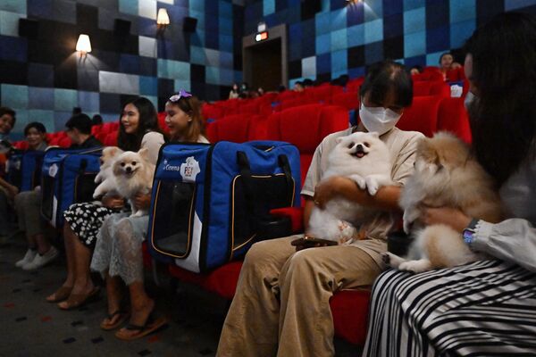 「i-Tail Pet Cinema」オープン初日、館内の座席に座る飼い主とペットたち（タイ・サムットプラカーン、10日） - Sputnik 日本