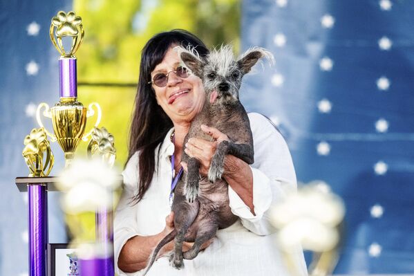 「世界一醜い犬コンテスト」で優勝したチャイニーズ・クレステッド・ドッグの「スクーター」（米カリフォルニア州・ペタルーマ、23日） - Sputnik 日本