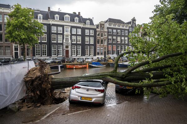 暴風雨で倒れた木に潰された車（オランダ・アムステルダム、5日） - Sputnik 日本
