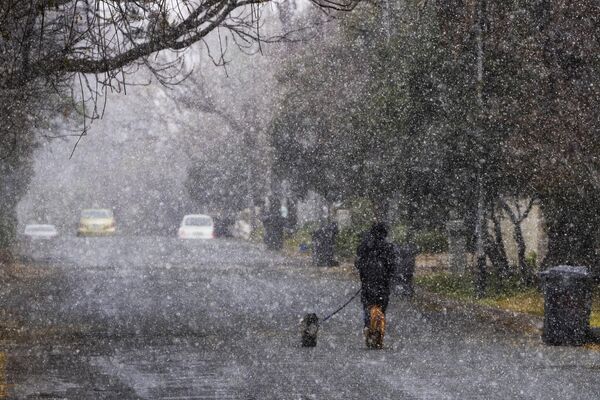 雪が降る中、犬の散歩をする男性（南アフリカ・ヨハネスブルグ、10日） - Sputnik 日本