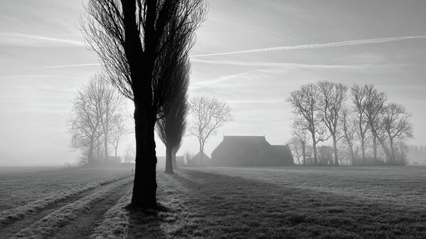 オランダ出身Ton Ensingさんの作品「Early Morning Farm」。IPPAWARDS 2023のランドスケープ部門1位。 iPhone 12 Pro で撮影 - Sputnik 日本