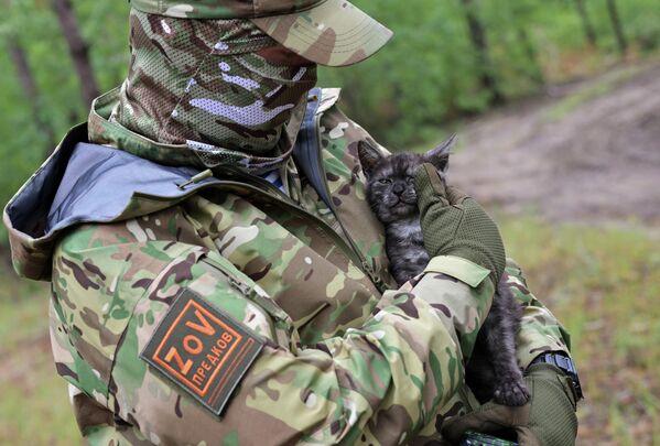 ロシア空挺軍の兵士の腕に抱かれる猫 - Sputnik 日本