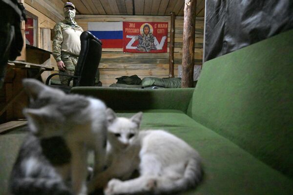 ロシア空挺軍の兵士と共に暮らす猫 - Sputnik 日本