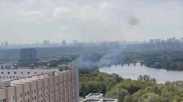 墜落現場とみられるモスクワ川沿いの森からは煙が上がる - Sputnik 日本