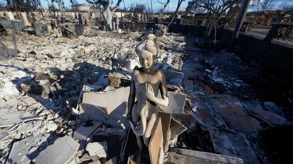 家の瓦礫の中に置かれた像（ハワイ州・マウイ島、12日） - Sputnik 日本