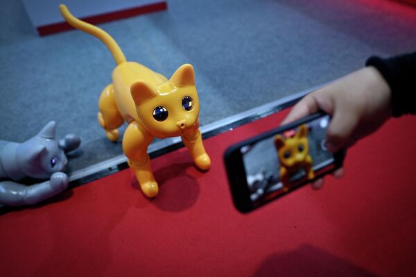 世界ロボット大会で、子ネコ型ロボットの写真を撮る来場者（北京、16日） - Sputnik 日本