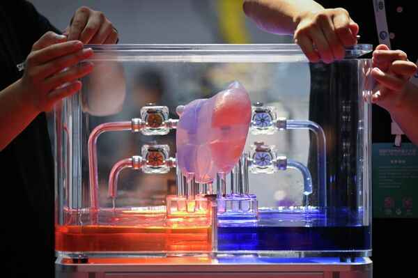 世界ロボット大会で展示されている人工心臓（北京、16日） - Sputnik 日本