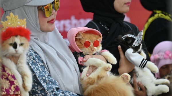ネコのファッションショー「キャット・ファッション・ウィーク」に参加した猫たち（インドネシア・バンダ・アチェ、12日） - Sputnik 日本