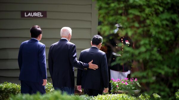 岸田首相（右）の背中を押すバイデン大統領（中央） - Sputnik 日本