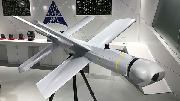 ロシアの無人機「ランセット」 - Sputnik 日本