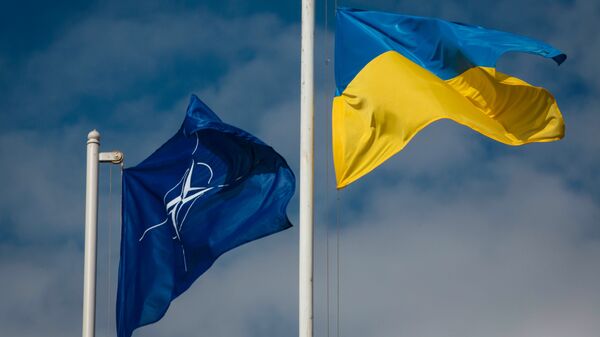 NATOとウクライナの旗 - Sputnik 日本