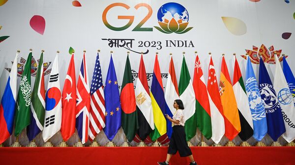G20サミット - Sputnik 日本