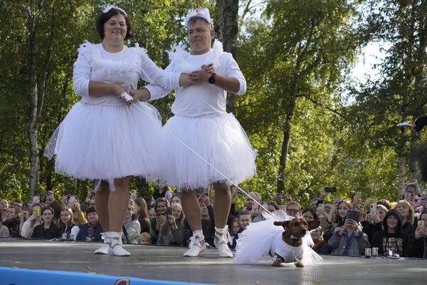 ダックスフントの祭典で、ダックスフントと一緒にバレエ「白鳥の湖」のダンスを踊る男女（ロシア・サンクトペテルブルク、16日） - Sputnik 日本