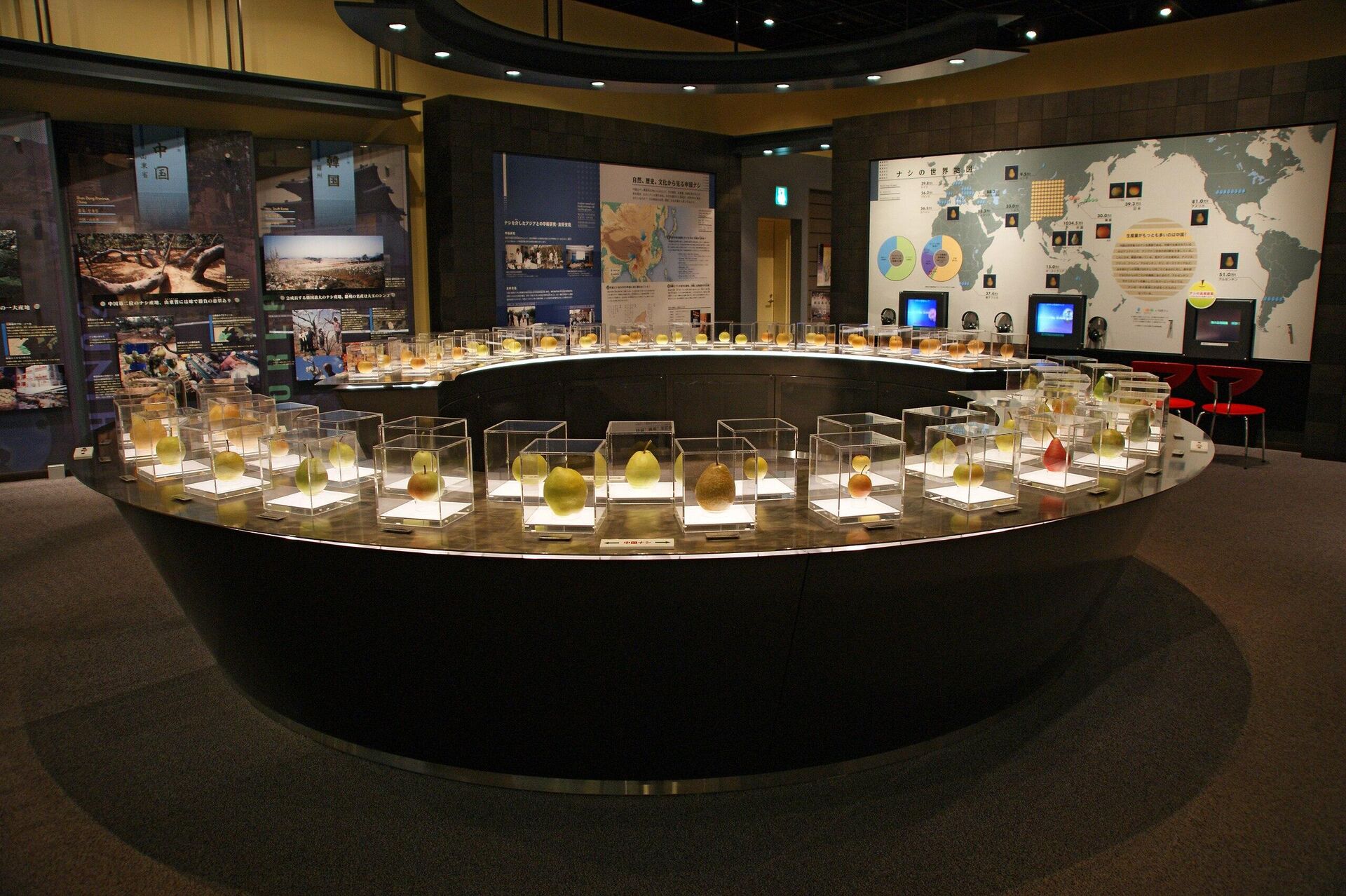 鳥取県の倉吉市にある梨をテーマにした博物館「鳥取二十世紀梨記念館」 - Sputnik 日本, 1920, 29.09.2023