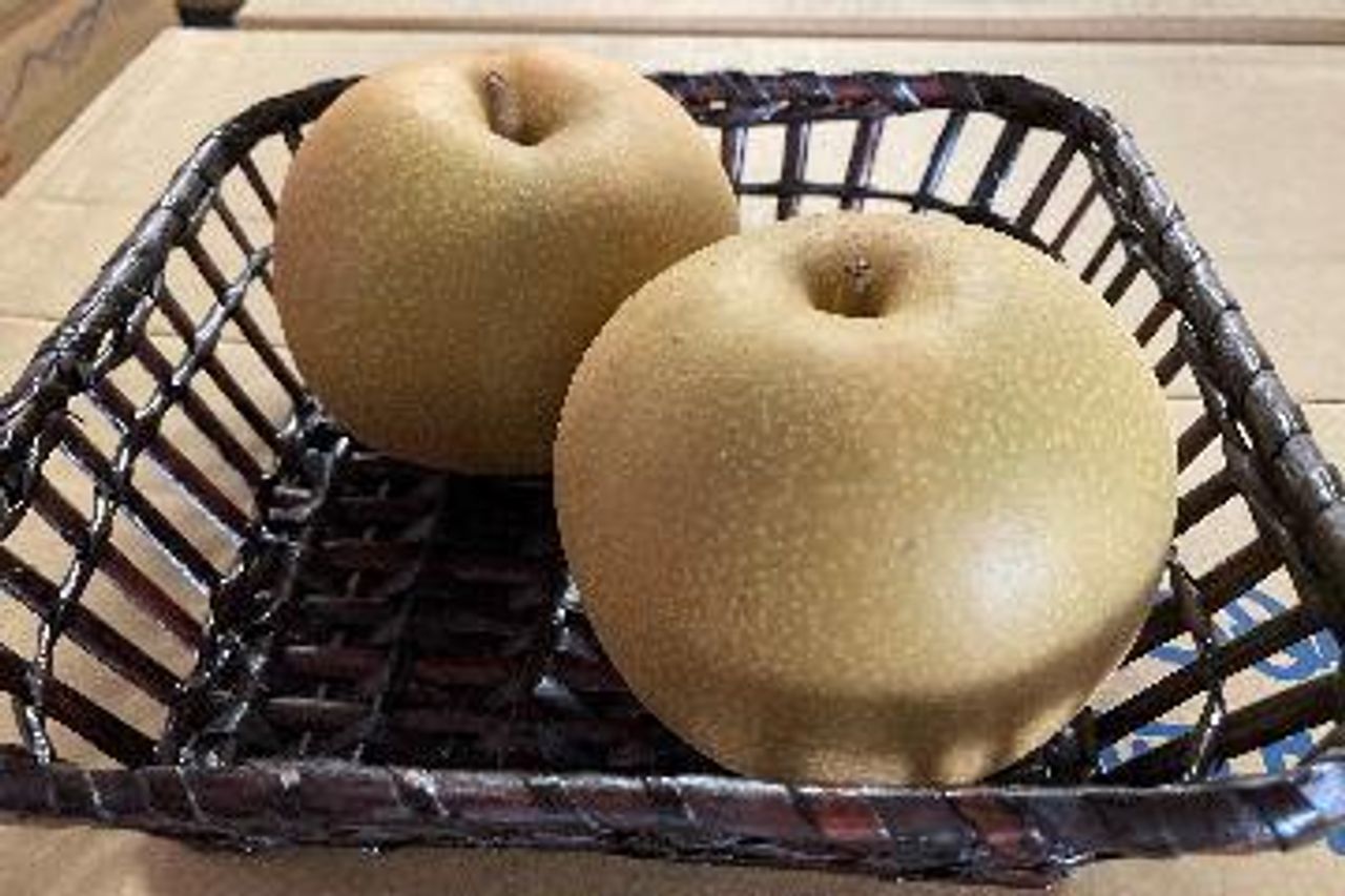 梨の種類 日本で栽培されている優れた品種一覧