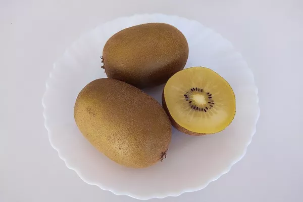 中国系のActinidia chinensis 中国系のActinidia chinensis - Sputnik 日本