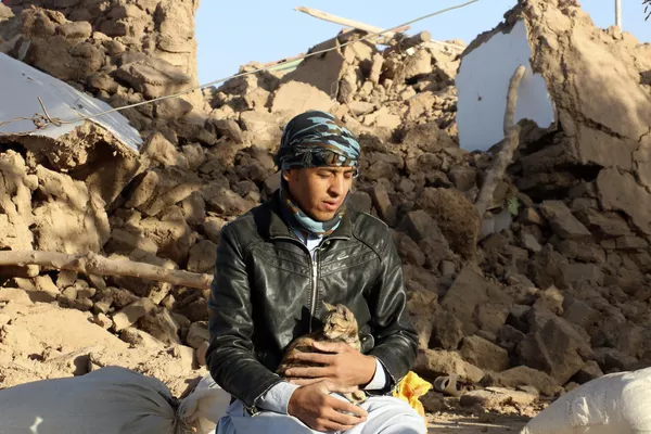 西部ヘラート州・ジンダヤン地区で、地震で崩壊した自宅のそばで猫を抱いて座る少年(8日) 西部ヘラート州・ジンダヤン地区で、地震で崩壊した自宅のそばで猫を抱いて座る少年(8日) - Sputnik 日本
